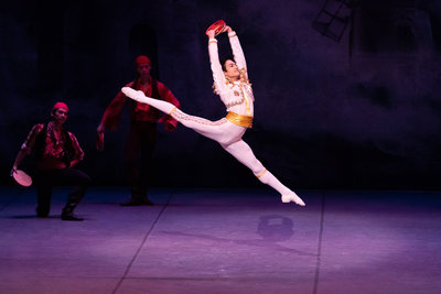 20211126_Don Quixotes Dream_0254_photo_Shoko Matsuhashi.jpg