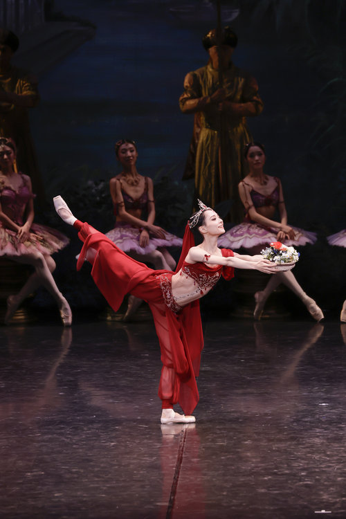 22-10_Bayadere_1032_Photo_Koujiro_Yoshikawa.jpg